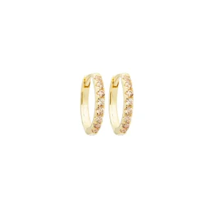 Brinco Argola Lindsay