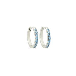 Brinco Argola Lindsay