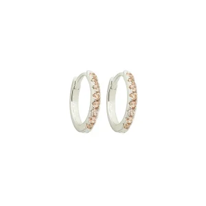 Brinco Argola Lindsay