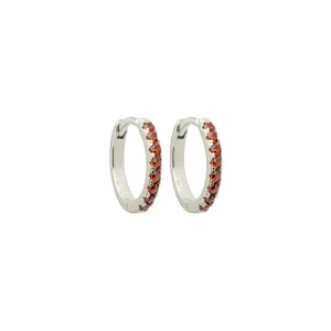 Brinco Argola Lindsay
