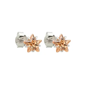 Brinco Prata 925 Ponto de luz Estrela 6mm