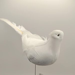 Pomba de Esferovite